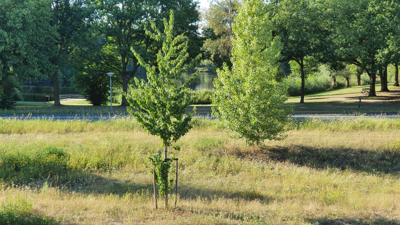 Logies Bij Wandelpad Te Holten Exterior photo